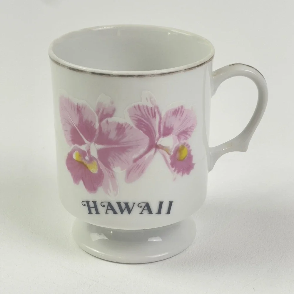 Vintage Souvenir Hawaii Pink Hibiscus Flower Gold Pedestal Coffee Cup Porcelain